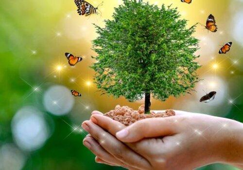  Renouer vivant nature environnement