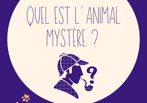 Animal mystère : Et si la communication était le début de l'intelligence ? Affiche de l'atelier, présentant une personne avec une pipe à la bouche d'où la fumée forme un point d'interrogation.