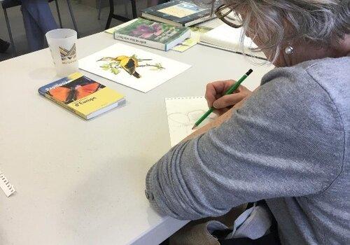Femme réalisant un dessin