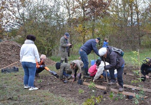 Un micro-bosquet de 64 plants planté en novembre 2024 à l’arboretum de la Chevauchée, Saint Jean le Blanc