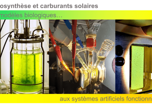 Photosynthèse et carburants solaires Photosynthèse et carburants solaires