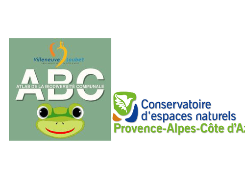 L'intelligence biologique : Découvrez les stratégies d'adaptation et interactions entre êtres vivants et explorez l'écocomportementalisme L'intelligence biologique : Découvrez les stratégies d'adaptation et interactions entre êtres vivants et explorez l'écocomportementalisme