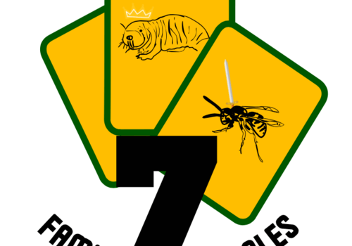 Les 7 familles - Eusociales Jeu de carte présenté sous la forme de 3 cartes jaune encadrée vert. La carte du milieu représente un rat taupe nu avec une couronne. La carte à droite présente une guêpe avec une épée. Le titre "7 familles eusociales" est écrit en dessous en arrondi.