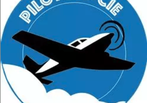 logo Pilotes & cie