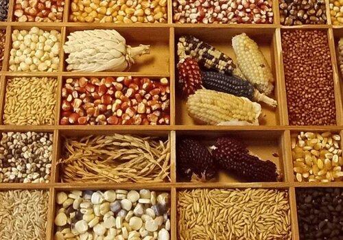 Collection CRB gamet