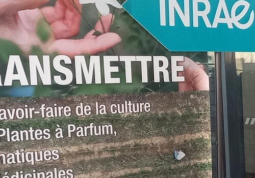 Atelier INRAE Fleurs d'exception du pays de Grasse