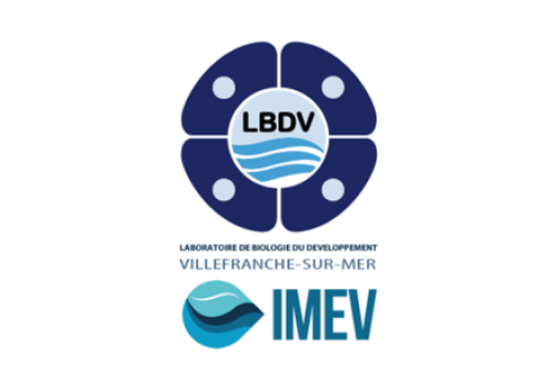 LBDV (IMEV)
