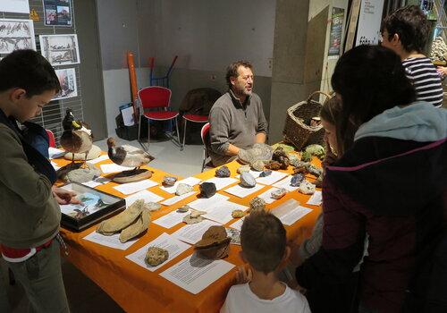 Stand Muséum d'histoire naturelle de Chambéry - FDS 2024