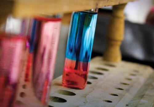 Tubes à essai présentant une solution bicolore : bleu et rose