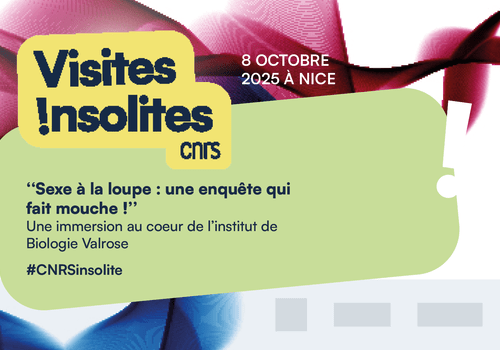 Les visites insolites du CNRS