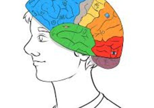 enfant avec un chapeau cerveau coloré
