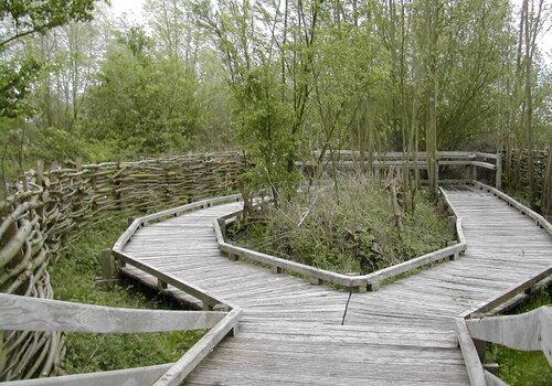 Découvrez la Réserve Naturelle du Romelaere comme vous ne l'avez jamais vue Réserve Naturelle du Romelaere