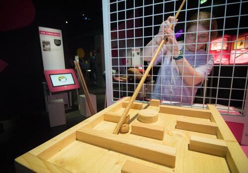 Un ado joue avec un bâton pour sorti r un objet d'un labyrinthe