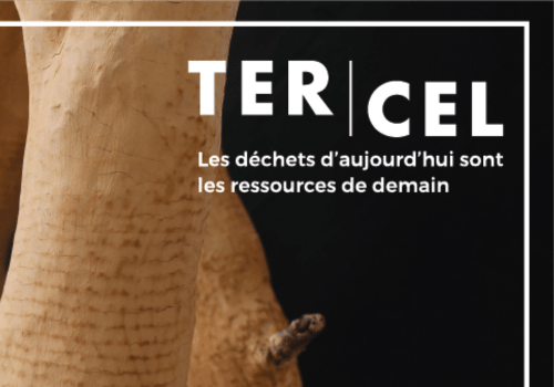 Affiche TERCEL