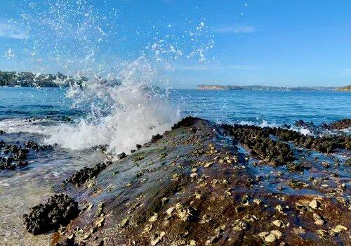 Une vague s'échoue sur le rivage