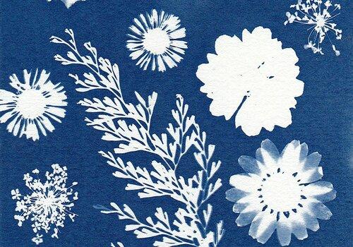 Cyanotype