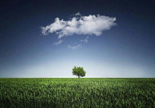 espace et environnement