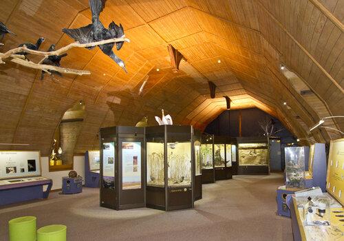 Vue générale de la salle d'exposition