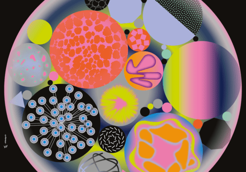 Nuit des Chercheur.e.s Albi 2025