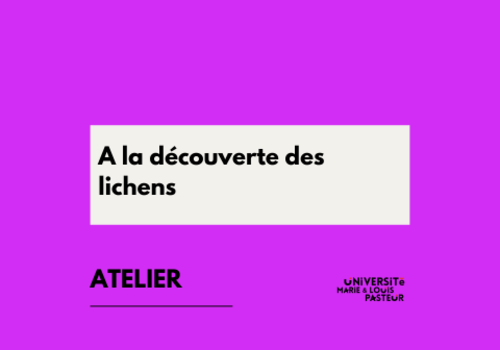 A la découverte des lichens
