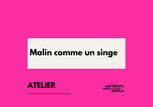 Malin comme un singe