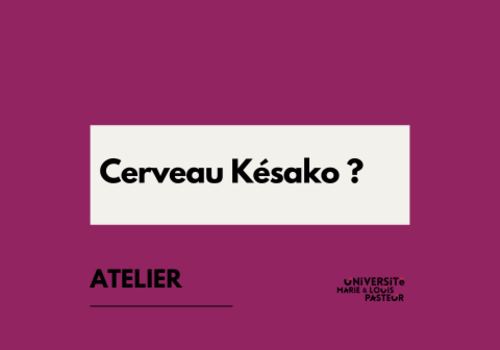 Cerveau Késako ?