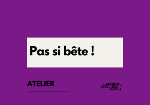 Pas si bête