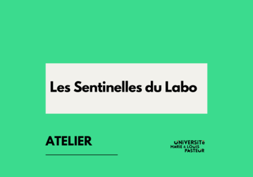 Les Sentinelles du Labo