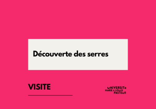 Visite des serres du BIOME