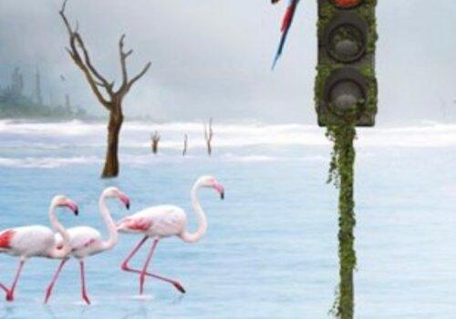 détail affiche expo un perroquet est perché sur un feu rouge, derrière lui trois flamants roses ont les pieds dans l'eau