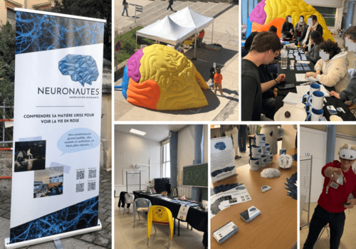 La NeuroIntelligence avec les Neuronautes