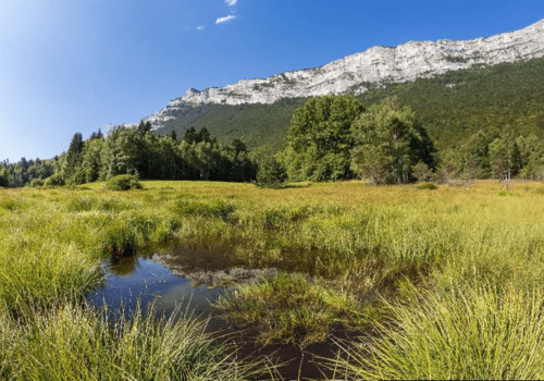 Tourbière du Peuil