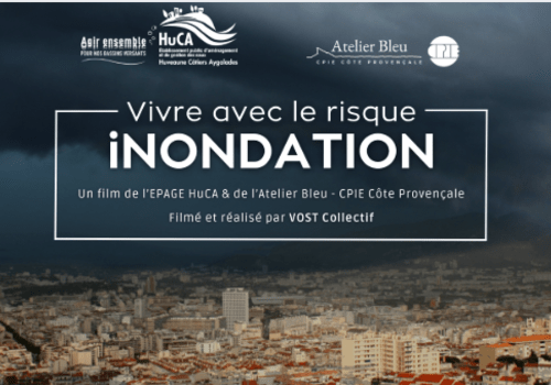 Affiche du film 