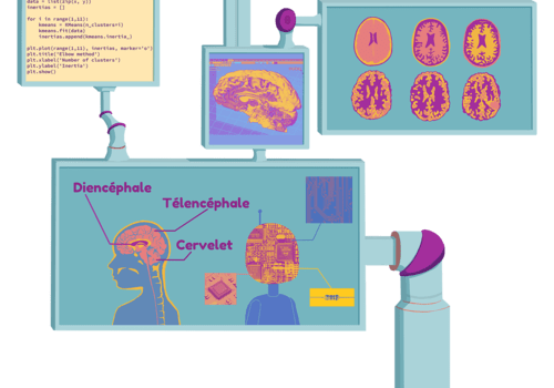 du cerveau à l'IA