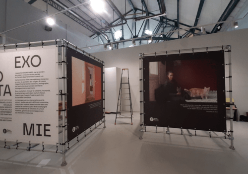 Exposition