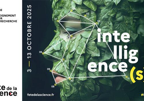 Intelligence(s)