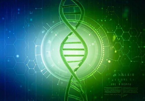 ADN ou ligne de code ou Algorithme