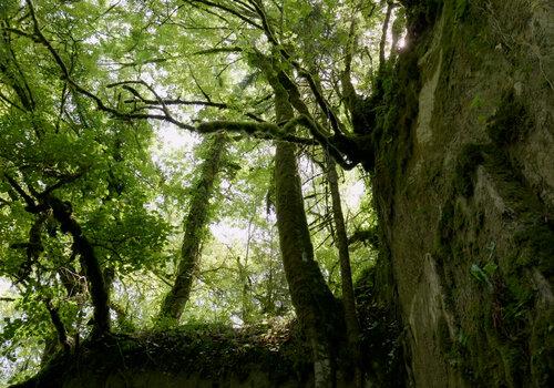 Forêt et ancienne carrière en Dordogne  Dordogne