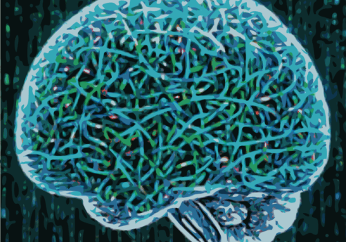 Groupia Cerveau bleu avec des filaments entremellés à l'intérieur