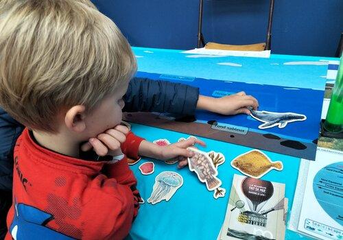 un atelier du muséum lors de la fête de la science