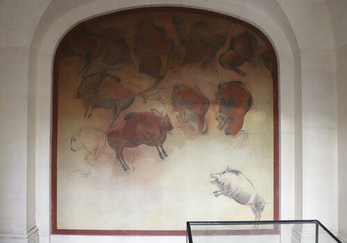 Fresque préhistorique, représentant des bovidés, reproduite dans le couloir de l'IPH