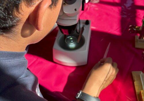 Enfant regardant dans un microscope