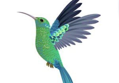 évocation d'un oiseau symbolique en Guyane