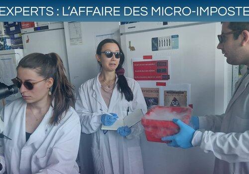 Les experts