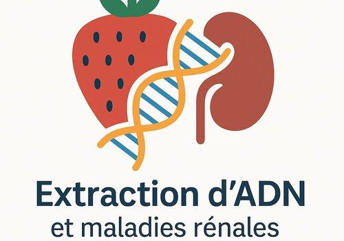 Extraction d'ADN et maladies rénales chroniques