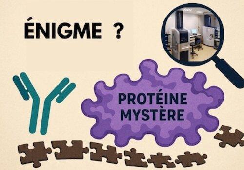 Dans ce jeu d'énigme il faut découvrir une protéine mystère