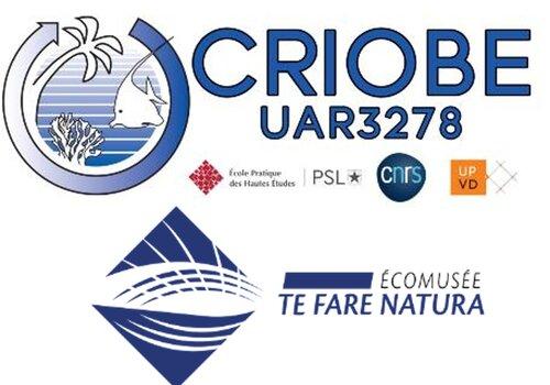 CRIOBE - Te Fare Natura CRIOBE - Te Fare Natura