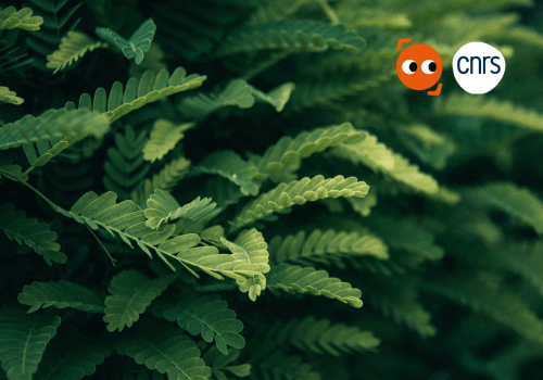 Plantes intelligentes ? Plantes intelligentes ?