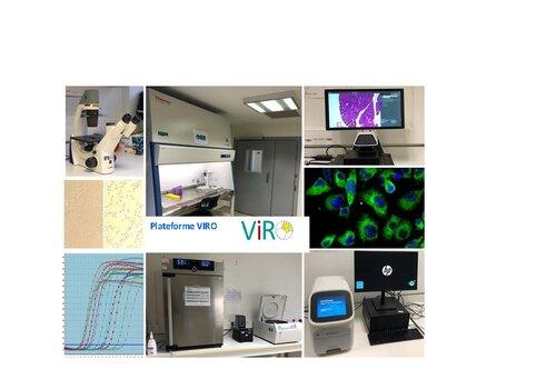 Plateforme VIRO