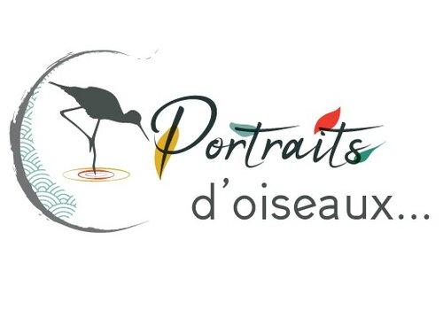 Portraits d'oiseaux